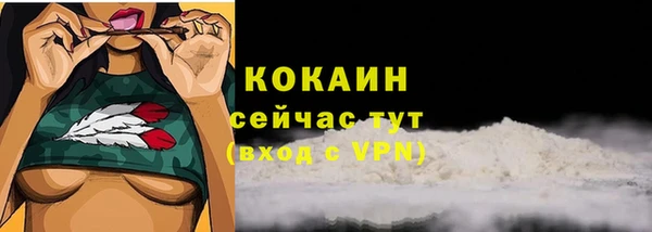 крисы Покачи