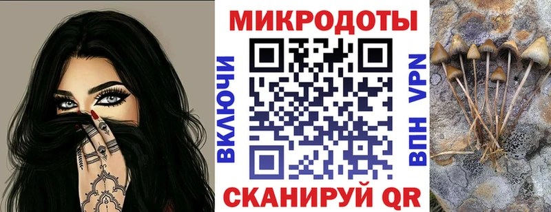 Галлюциногенные грибы мицелий  Починок 